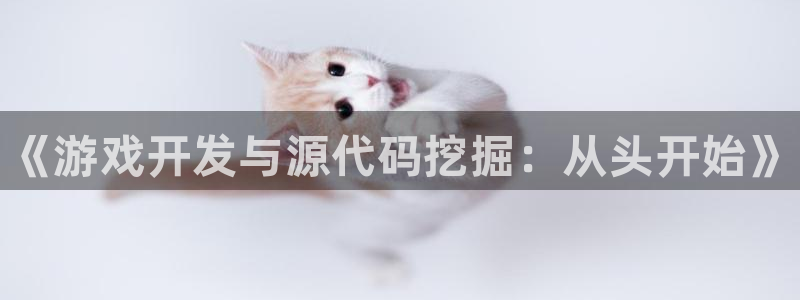 高德娱乐是什么：《游戏开发与源代码挖掘：从头开始》