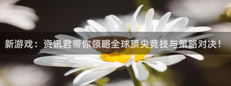 沐春高德娱乐：新游戏：资讯君带你领略全球顶尖竞技与策略对决！