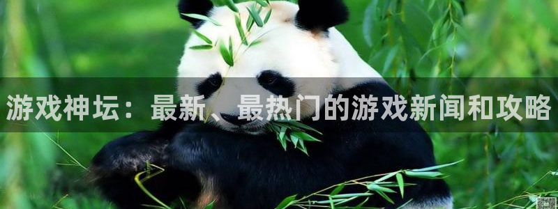 沐春高德娱乐：游戏神坛：最新、最热门的游戏新闻和攻略