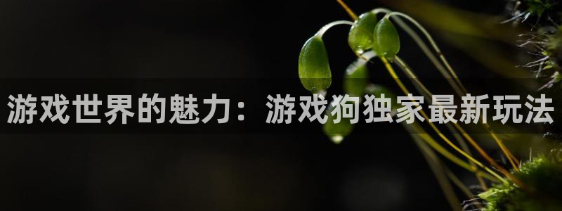 高德娱乐官网登录：游戏世界的魅力：游戏狗独家最新玩法