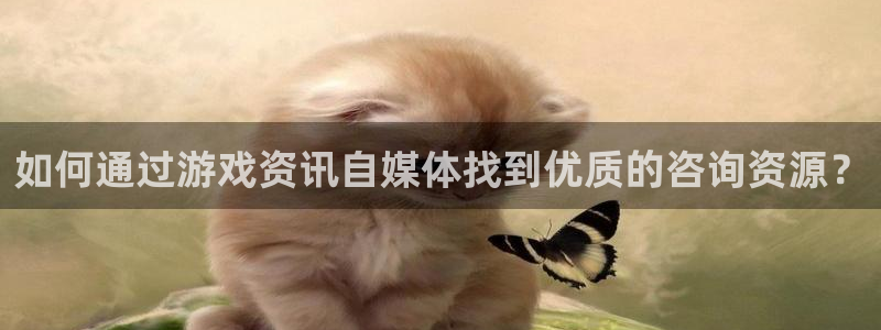 高德娱乐登陆地址：如何通过游戏资讯自媒体找到优质的咨询资源？