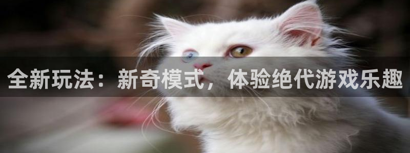 高德娱乐平台登录：全新玩法：新奇模式，体验绝代游戏乐趣