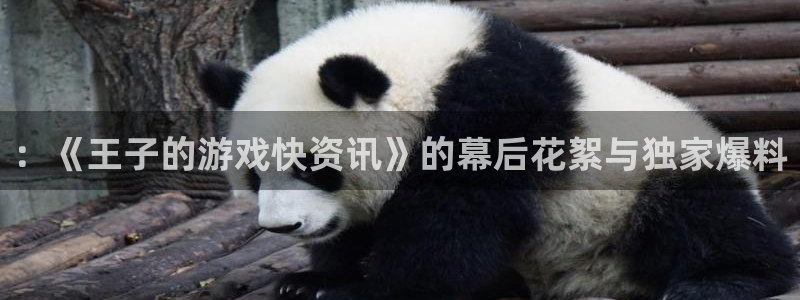 高德娱乐平台官网客服电话：：《王子的游戏快资讯》的幕后花絮与